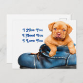 I Miss You Puppy Postkarte (Vorne/Hinten)