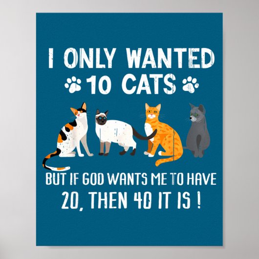 I Only Wanted 10 Cats - Pets Funny Cats Quote Humo Poster (Vorne)