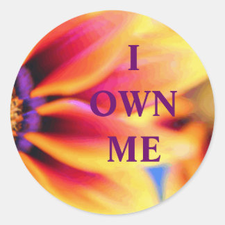 "I Own Me"-Projektprodukte Runder Aufkleber