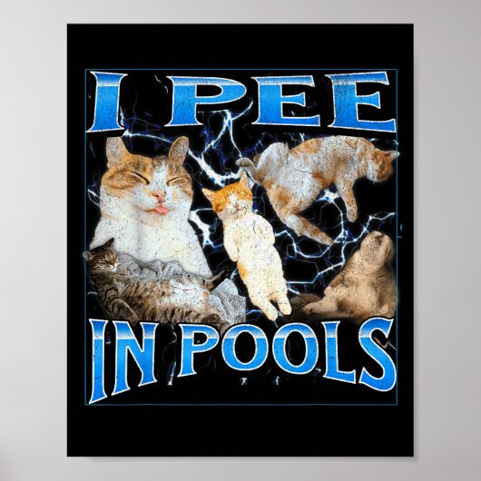 I Pee In Ols Funny Offensive Cat Meme Bootleg Grap Poster (Vorne)