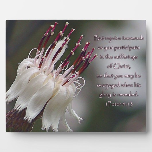 I Peter 4:13 Inspirationsblume Fotoplatte (Vorderseite)