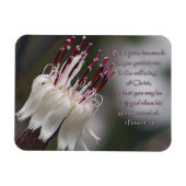 I Peter 4:13 Inspirationsblume Magnet (Horizontal)