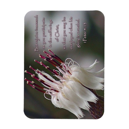 I Peter 4:13 Inspirationsblume Magnet (Vertikal)