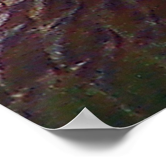 I Peter 4:13 Inspirationsblume Poster (Ecke)