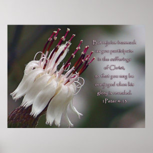 I Peter 4:13 Inspirationsblume Poster