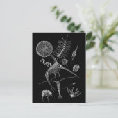 I PLN POSTKARTE (Stehend Vorderseite)