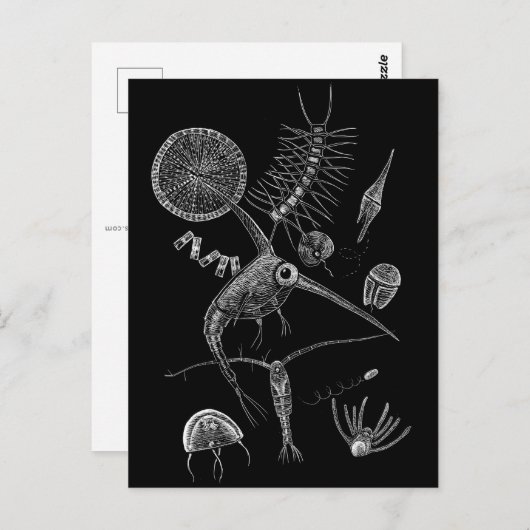 I PLN POSTKARTE (Vorne/Hinten)