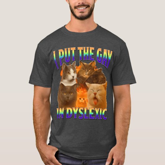 i put the gay in dysleic funny cat meme gift T-Shirt (Vorderseite)