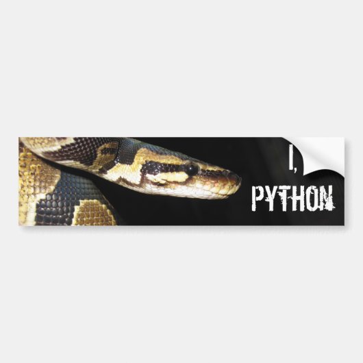I, Pythonschlange Autoaufkleber (Vorne)