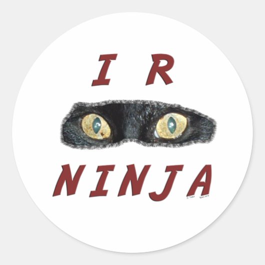 I-R-Ninja Stickers (Vorderseite)