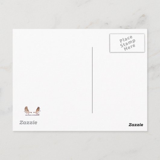 "I Saw 1" Sasquatch Lizenzplatte Postkarte (Rückseite)