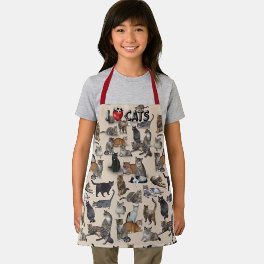 I. 😺 SCHÜRZE (Insitu)