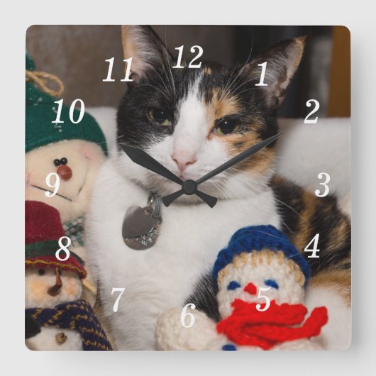 I Spion a Calico Wall Clock Quadratische Wanduhr (Vorderseite)