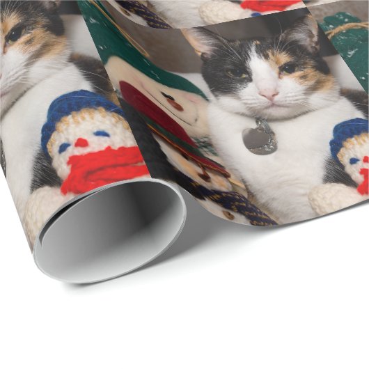 I Spy A Calico Geschenkpapier (Rolleneckpunkt)