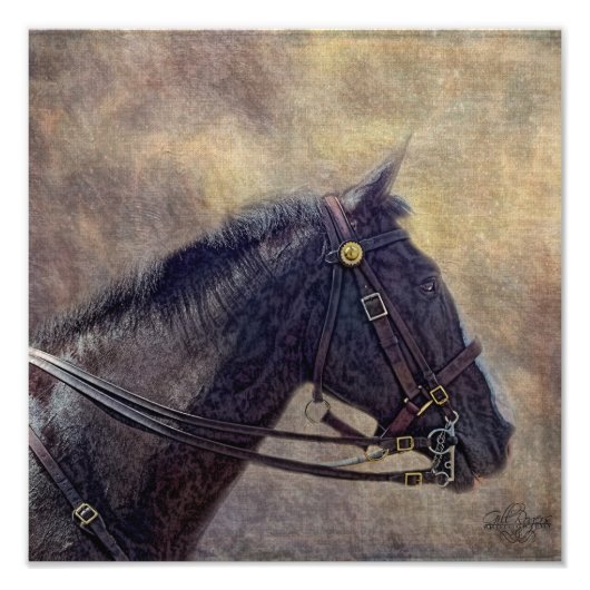 I Spy Fotodruck (Vorne)