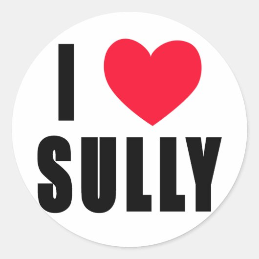 I Sully Liebe i-HERZ Sully Runder Aufkleber (Vorderseite)