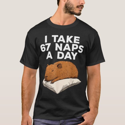 I Take 67 Naps A Day Funny Capybara Six Seven Meme T-Shirt (Vorderseite)