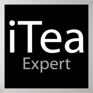 i Tee Experte (IT-Experte) Poster