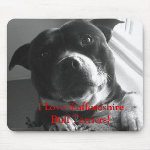 I Terrier Liebe-Staffordshires Stier! Mousepad