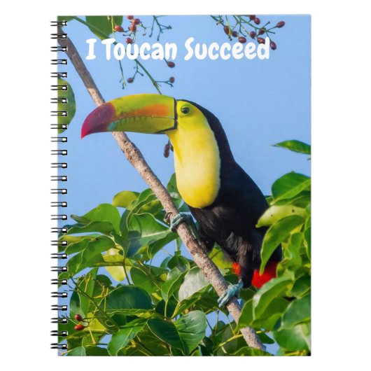 I Toucan Succeed Notizblock (Vorderseite)