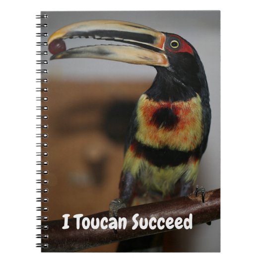 I Toucan Succeed Notizblock (Vorderseite)