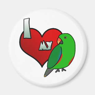 I versah Liebe mein Rot Eclectus mit Seiten Magnet