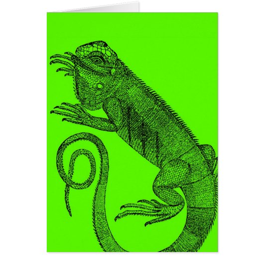 I Wanna Iguana (Vorne)