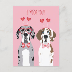 I Woof you Great Dane Hunde Pink Red Postkarte