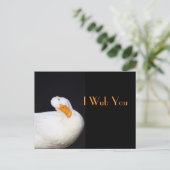 I Wub Sie, niedliche weiße Ente Postkarte (Stehend Vorderseite)