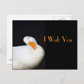 I Wub Sie, niedliche weiße Ente Postkarte (Vorne/Hinten)