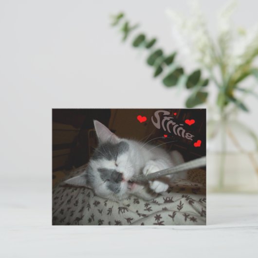 I WUV My String Postkarte (Stehend Vorderseite)