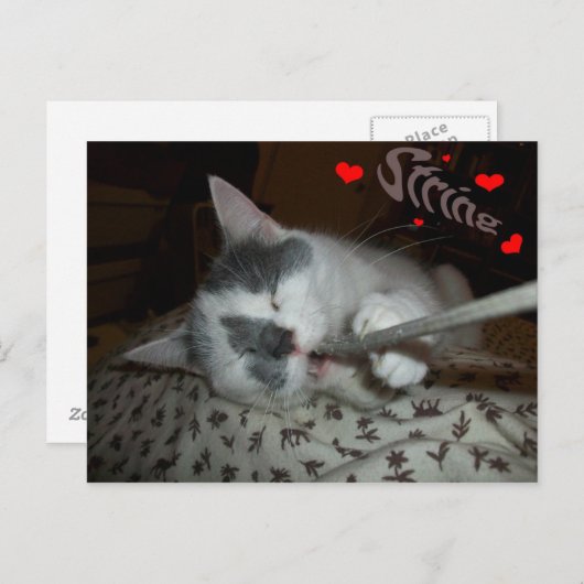 I WUV My String Postkarte (Vorne/Hinten)