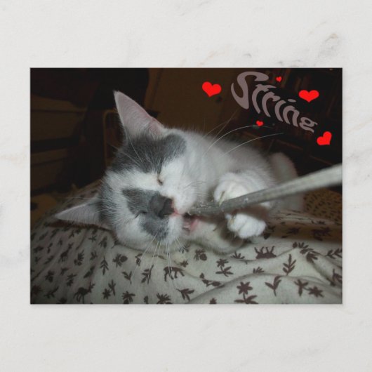 I WUV My String Postkarte (Vorderseite)