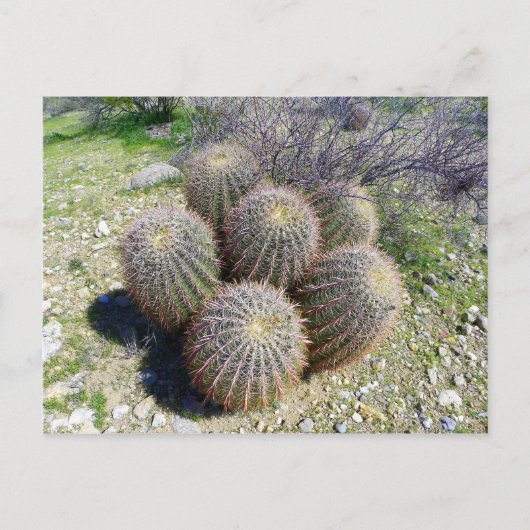 I X POSTKARTE (Vorderseite)