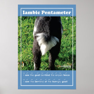 Iambic Pentameter 13" x 19" Klassenraum-Poster Poster
