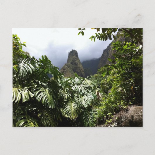 Iao Needle in Iao Valley Staat Park, Maui, Hawaii Postkarte (Vorderseite)