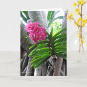 Iao Valley - Maui, Hawaii Karte (Gelbe Blume)