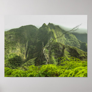 Iao Valley Poster