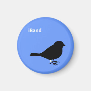 iBand Magnet