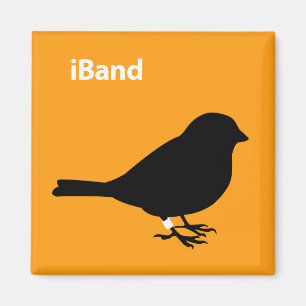 iBand Orange Magnet