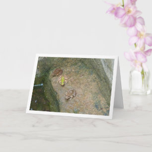 Iberische Frösche Karte