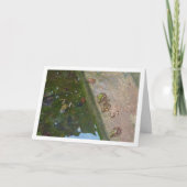 Iberische Froschkarte Karte (Vorderseite)