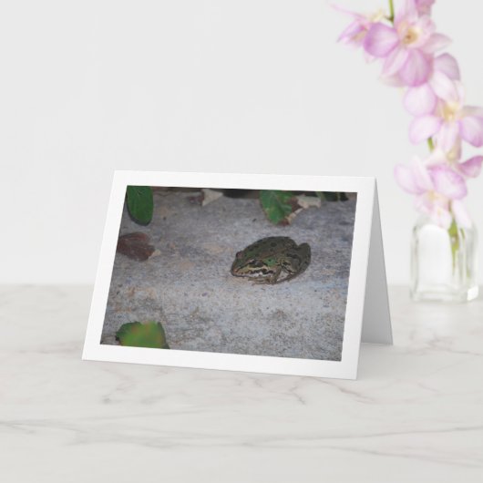 Iberischer Frosch Karte (Orchidee)