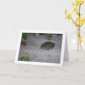 Iberischer Frosch Karte (Gelbe Blume)
