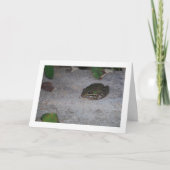 Iberischer Frosch Karte (Vorderseite)