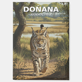 Iberischer Luchs im Donana Nationalpark Magnet