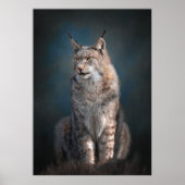 Iberischer Luchs sitzen Poster (Vorne)