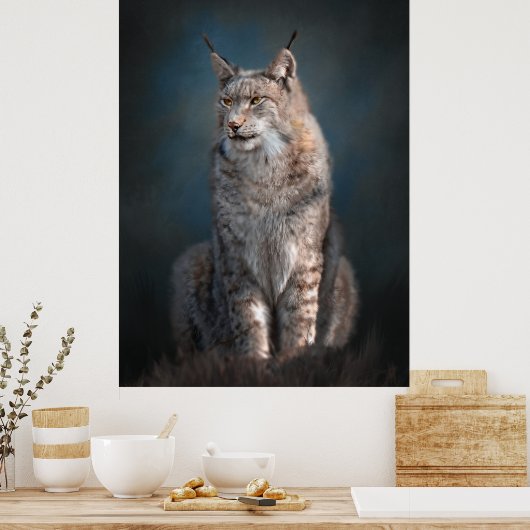 Iberischer Luchs sitzen Poster (Küche)