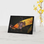 Iberischer Wasserfrosch auf Blatt Karte (Gelbe Blume)