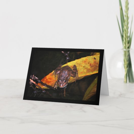 Iberischer Wasserfrosch auf Blatt Karte (Vorderseite)